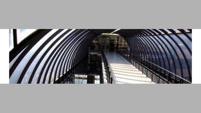 Jornadas de porcino UAB 2010 home