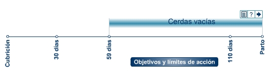 Cerdas vac&iacute;as