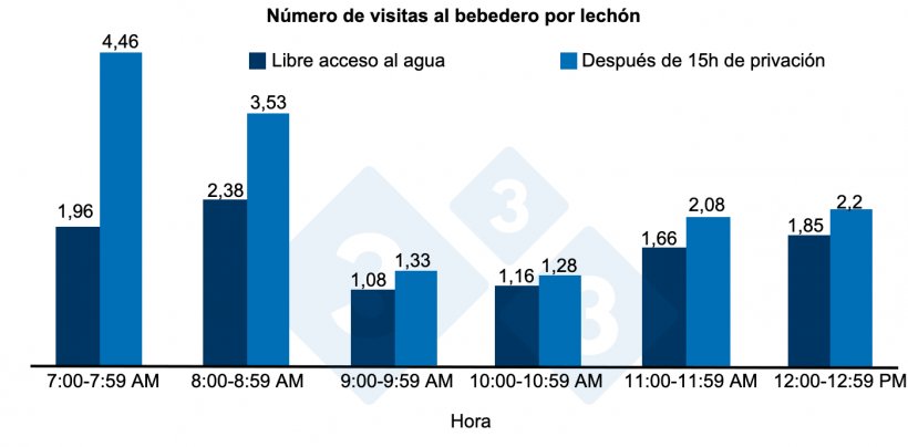 Figura 1. N&uacute;mero de visitas al bebedero por lech&oacute;n tras 15 h de privaci&oacute;n o libre acceso al agua.
