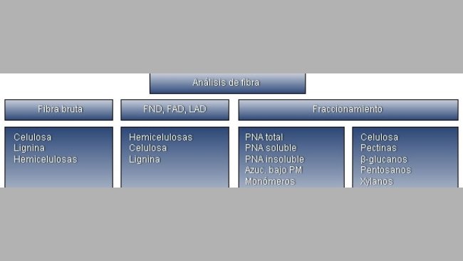 Resumen de las diferentes técnicas analíticas y fracciones de la fibra.