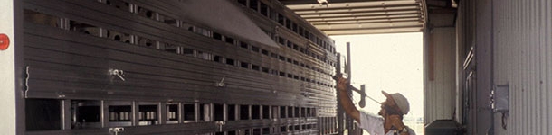 Dise&ntilde;o del transporte para asegurara una correcta limpieza y desinfecci&oacute;n.