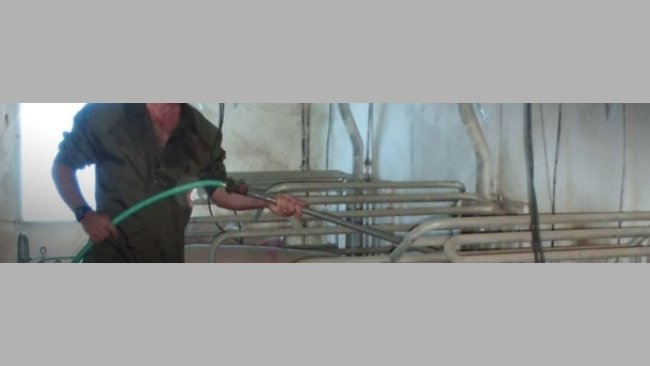 Si se dispone de una manguera en cada sala de partos, suplementar agua varias veces al día es un proceso sencillo