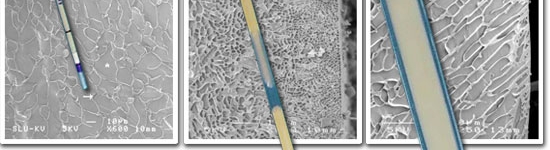 20101015-pajuelas-semen_congelado