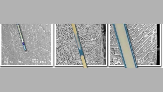 20101015-pajuelas-semen_congelado