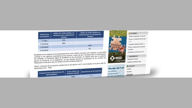 Nueva sección en 3tres3.com - Rinitis atrófica