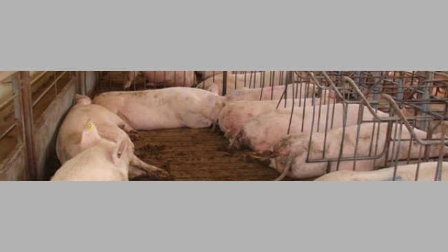 Espacio para descanso