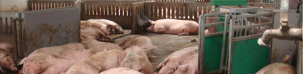 Estaci&oacute;n electr&oacute;nica de alimentaci&oacute;n