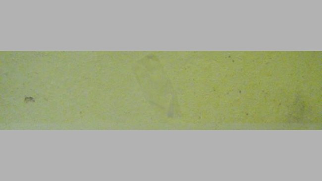 El papel de fumar pegado a la pared indica un secado incompleto de la sala