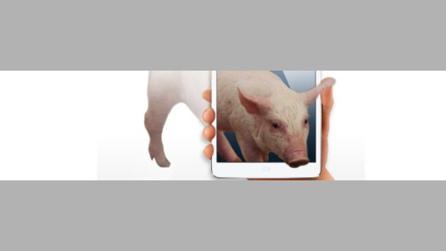 Encuesta sobre la enfermedad de los edemas