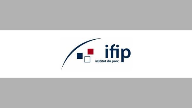 ifip
