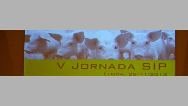 V Jornada SIP