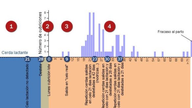 Análisis repeticiones periodo conflictivo