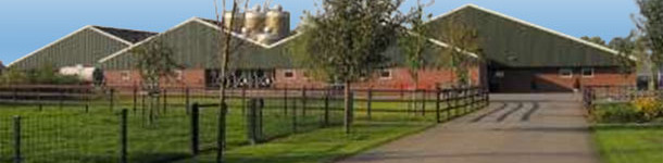 Granja holandesa