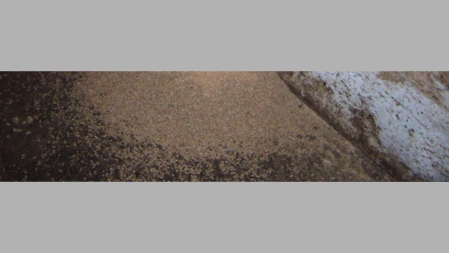 Desperdicio del pienso