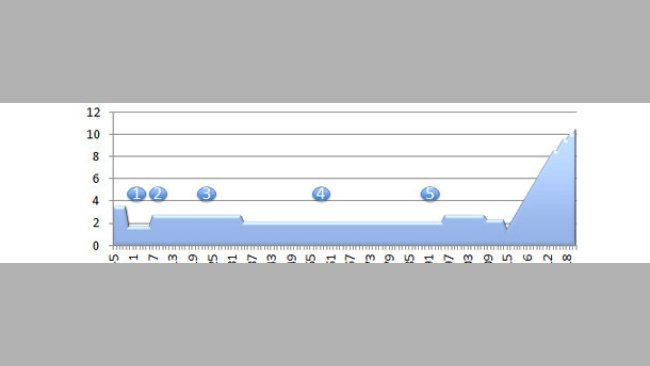 Consumo de pienso por ciclo