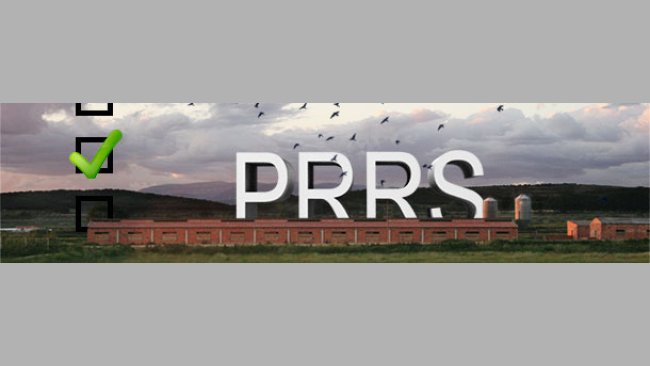 PRRS survey