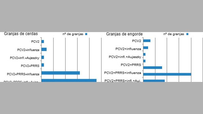 Co-seropositividad en cerdos