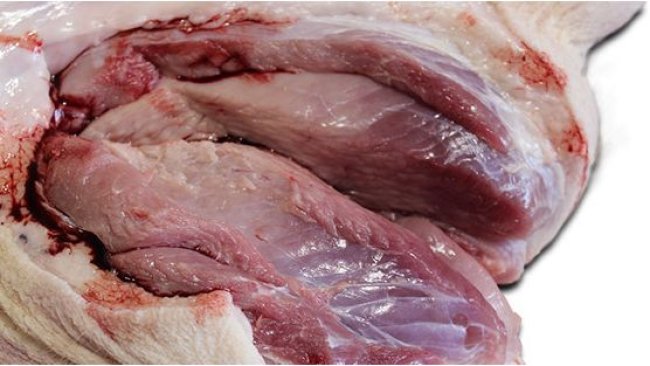 Palidez pronunciada del M. semimembranosus