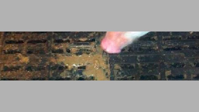 Diarreas post-destete en lechones