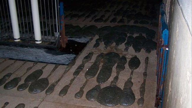 Espuma sobresaliendo del suelo de slat