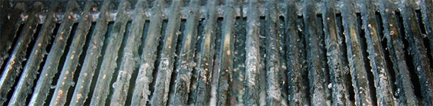 La meteorolog&iacute;a no ha favorecido las barbacoas alemanas