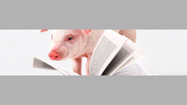 Diccionario porcino