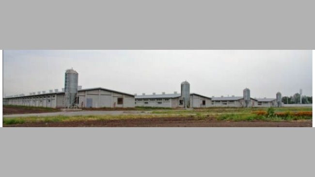 granja ucrania