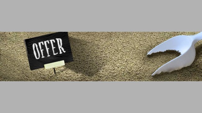 Pienso barato, gasolina barata, montones de cerdo