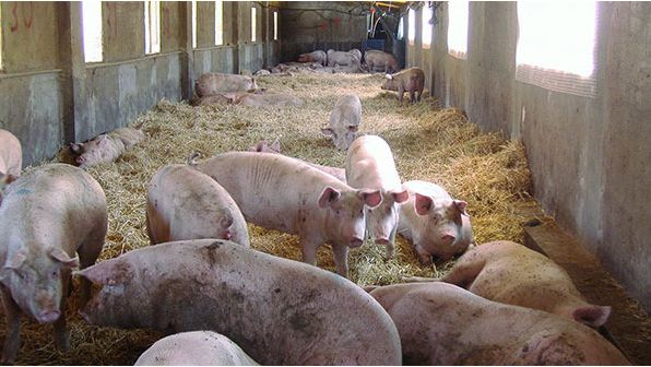 Provisi&oacute;n de material de cama