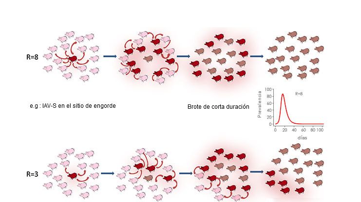 Tasa de reproducci&oacute;n en un contexto epid&eacute;mico o end&eacute;mico