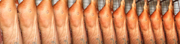 El cambio de divisas marcar&aacute; la pauta en 2016