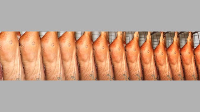 El cambio de divisas marcará la pauta en 2016