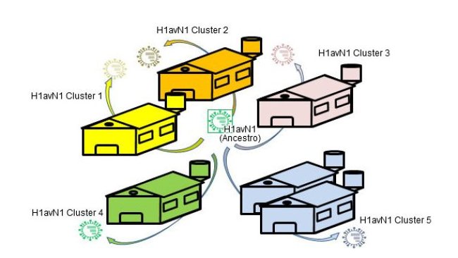 Heterogenicidad genética y antigénica relacionada con la granja