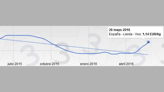 Precio cerdo Mercolleida