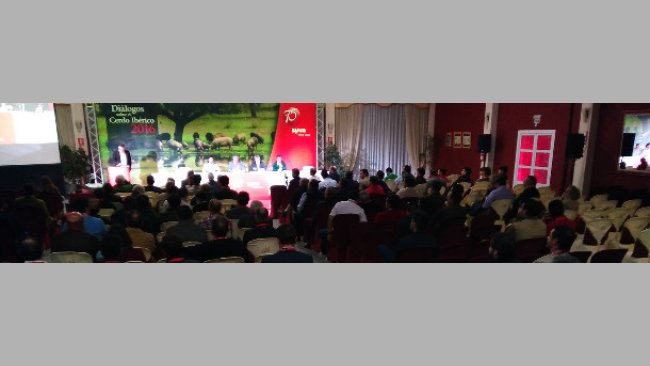 Diálogos sobre el Cerdo Ibérico 2016