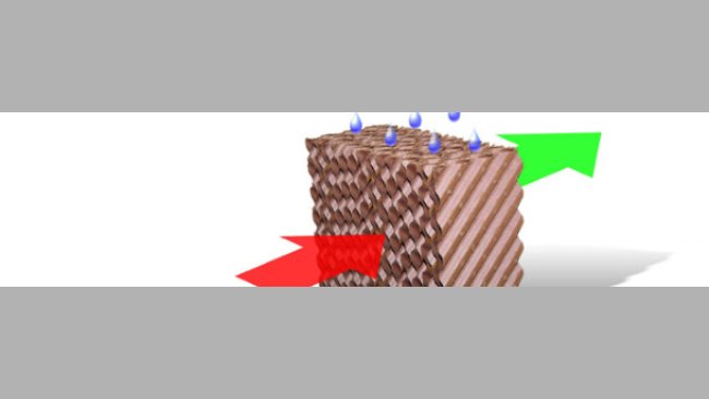 Paneles humificadores 1