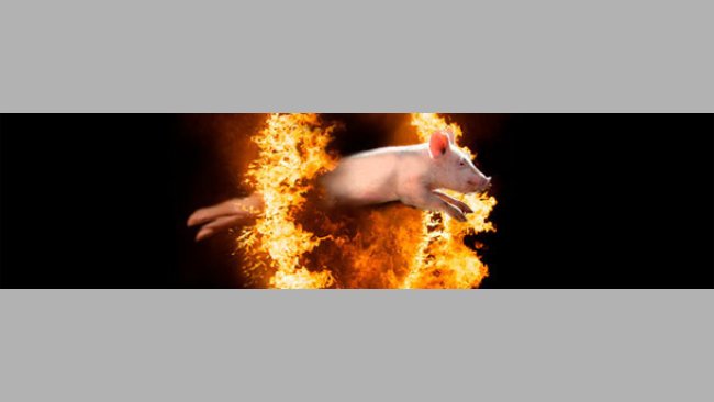 El muro de calor del septiembre