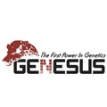 genesus.gif