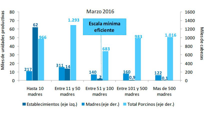 Gr&aacute;fico 3. Estratificaci&oacute;n de establecimientos con existencias porcinas seg&uacute;n censo de madres a marzo de 2016. Fuente: Informe de Cadena de Valor. Ministerio de Hacienda y Finanzas P&uacute;blicas. Argentina
