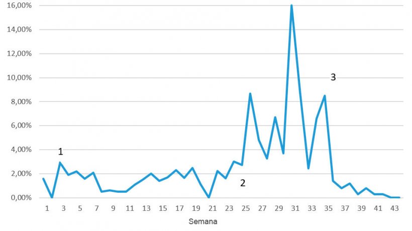 Figura 7. Mortalidad semanal durante los problemas por EE; 1 = reducci&oacute;n de los primeros signos tras 3-4 semanas; 2 = re-emergencia de la enfermedad a un nivel muy superior; 3 = primera semana tras la vacunaci&oacute;n
