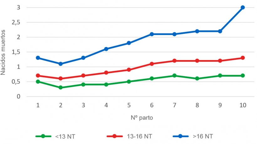 Gr&aacute;fica 3: Media de lechones nacidos muertos seg&uacute;n el orden de parto para las camadas de menos de 13, entre 13 y 16 o m&aacute;s de 16 lechones nacidos totales (NT). El an&aacute;lisis se basa en 93.896 partos de cerdas hiperprol&iacute;ficas que tuvieron lugar entre octubre de 2014 y septiembre 2016
