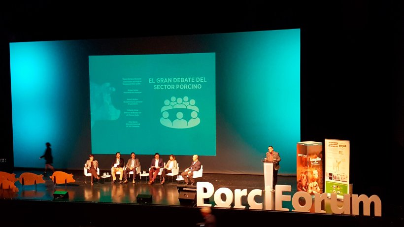 Porci Forum