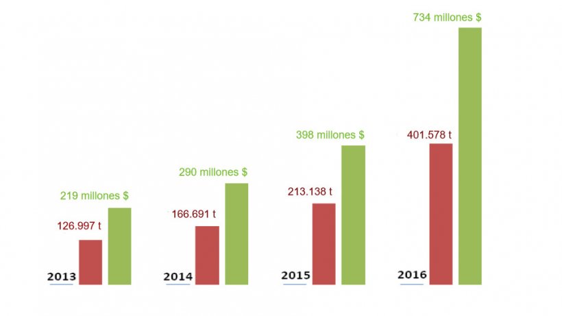 Evoluci&oacute;n de las exportaciones espa&ntilde;olas de porcino a China durante los &uacute;ltimos 4 a&ntilde;os.
