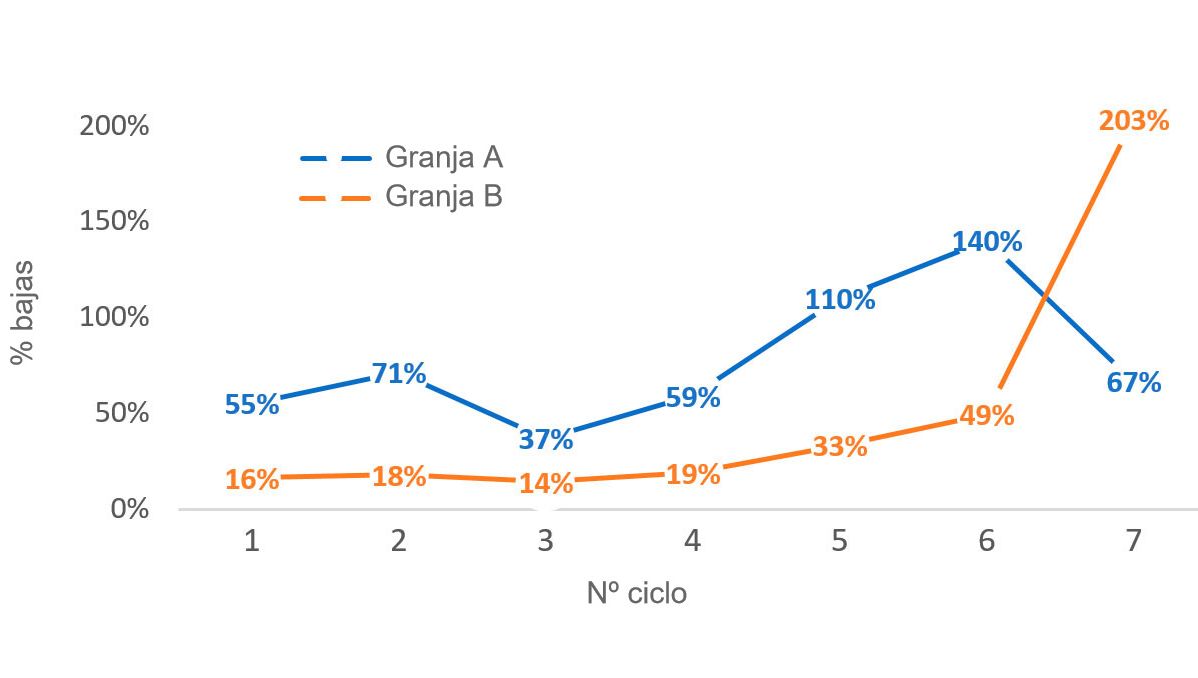 Gr&aacute;fico 1. Porcentaje de cerdas eliminadas por n&ordm; de ciclo (n&ordm; cerdas eliminadas por ciclo/censo medio por ciclo) en 2016
