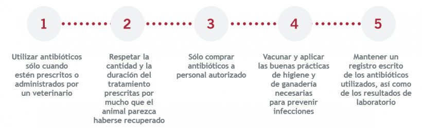 Uso responsable de los antimicrobianos.
