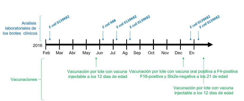 Imagen 1: An&aacute;lisis de laboratorio de los brotes cl&iacute;nicos y calendario de vacunaciones
