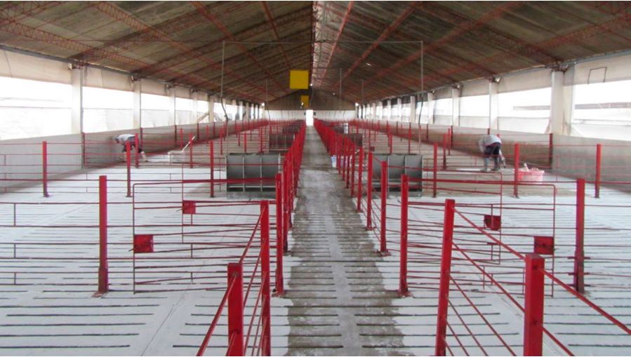 Foto 3. Limpieza y desinfecci&oacute;n de instalaciones.
