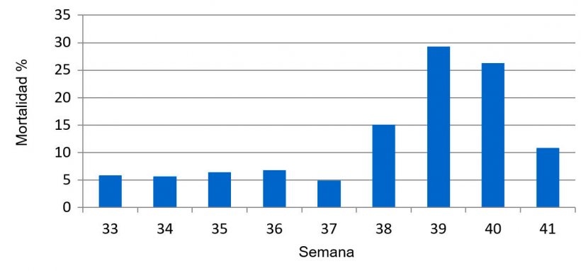 Gr&aacute;fica 1. Porcentaje de mortalidad semanal predestete, previo y durante el cuadro sanitario de PED.
