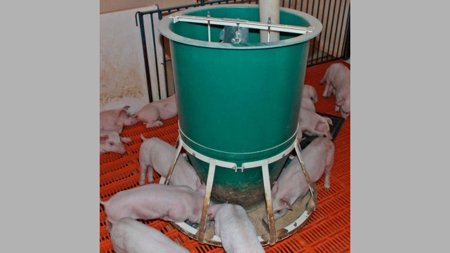 Osborne’s FAST Start™ feeder allows pigs to grow from wean to finish on a single feeder with virtually no attention, adjustments, or wasted feed.