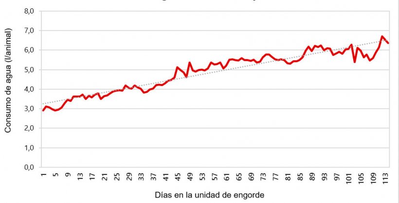 Figura 1. Ejemplo de consumo de agua durante el engorde.
